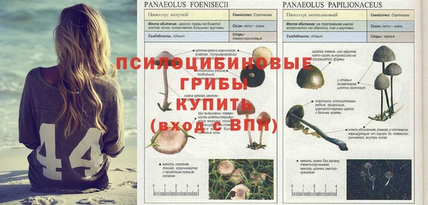 mix Абинск