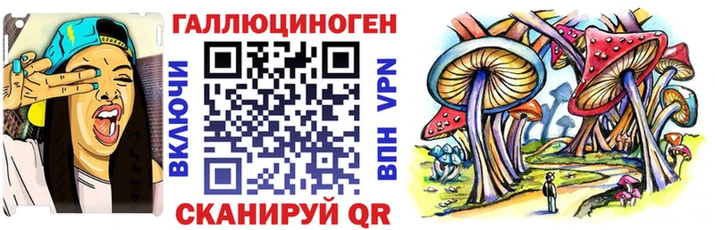 Псилоцибиновые грибы Cubensis  Чебаркуль 