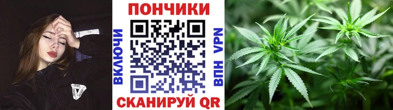Бошки марихуана индика  Чебаркуль 